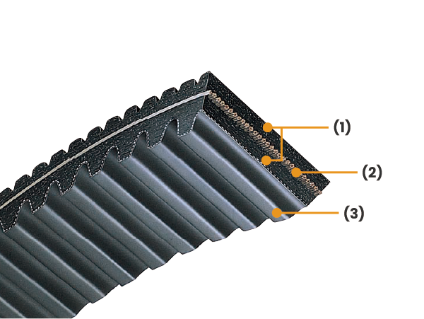 雙面齒 DCVS (Double Cog Variable Speed V-belt)